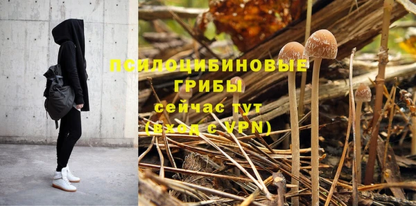 apvp Белоозёрский