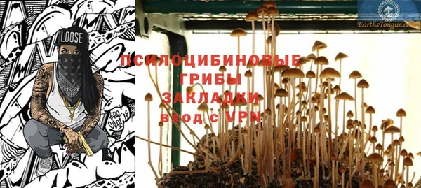 PSILOCYBIN Белокуриха
