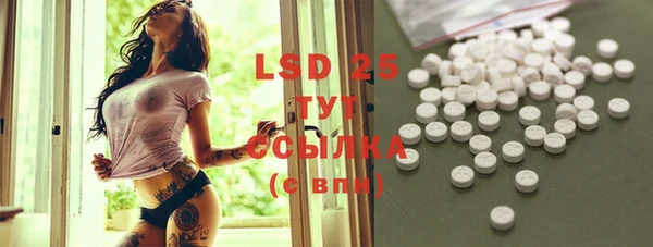 PSILOCYBIN Белокуриха