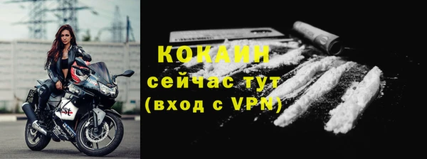 PSILOCYBIN Белокуриха