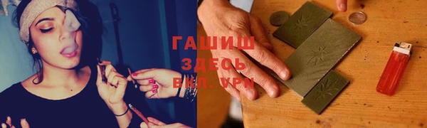 PSILOCYBIN Белокуриха