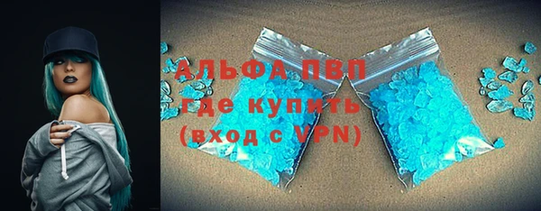 PSILOCYBIN Белокуриха