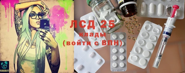 spice Новодвинск