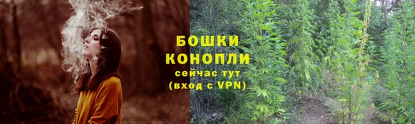 PSILOCYBIN Белокуриха